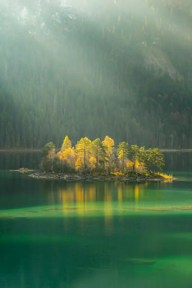 Photo nature 1
